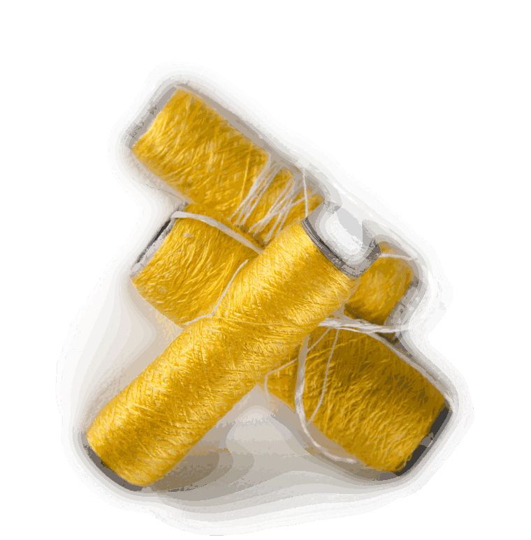 Spools of golden spider silk